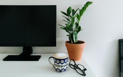 Breathing Easier: The Benefits of House Plants on Indoor Air Quality