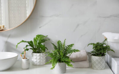 Ideal Plants for Your Bathroom
