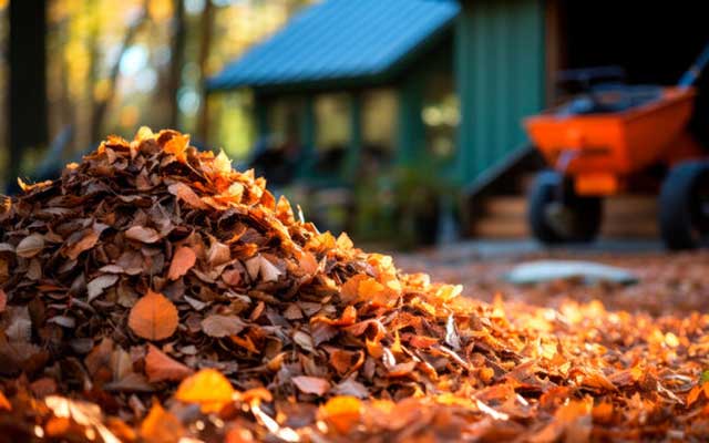 A Late October New England Garden To-Do List